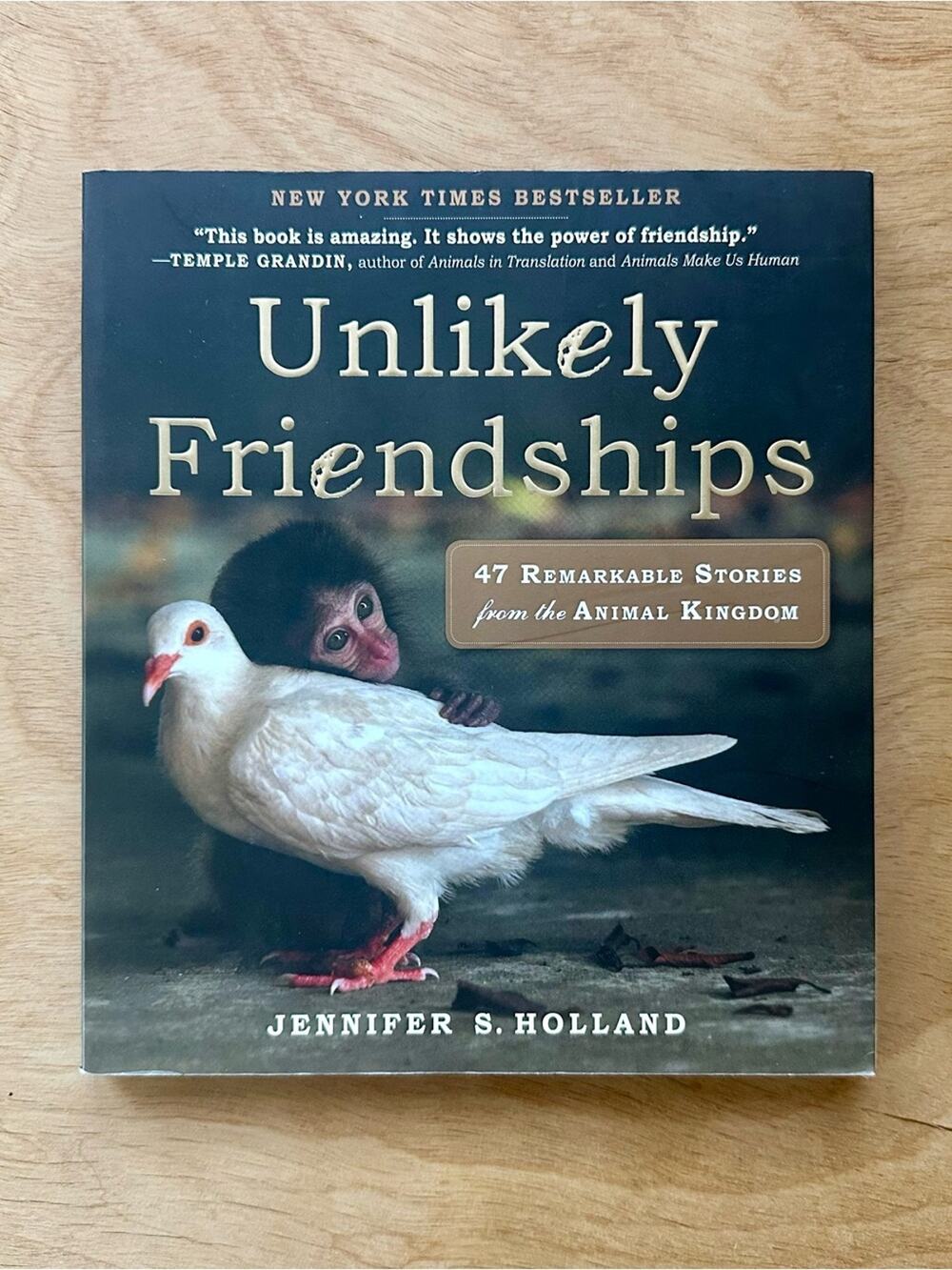 Unlikely Friendships Jennifer S Holland Animal Stories Paperback Book